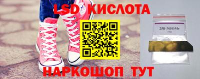 эйфоретик Гудермес
