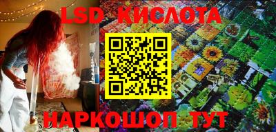 эйфоретик Гудермес