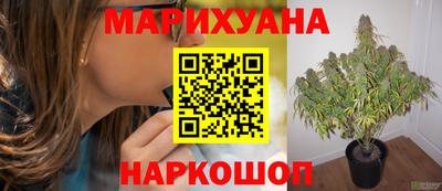 эйфоретик Гудермес