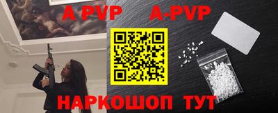 эйфоретик Гудермес