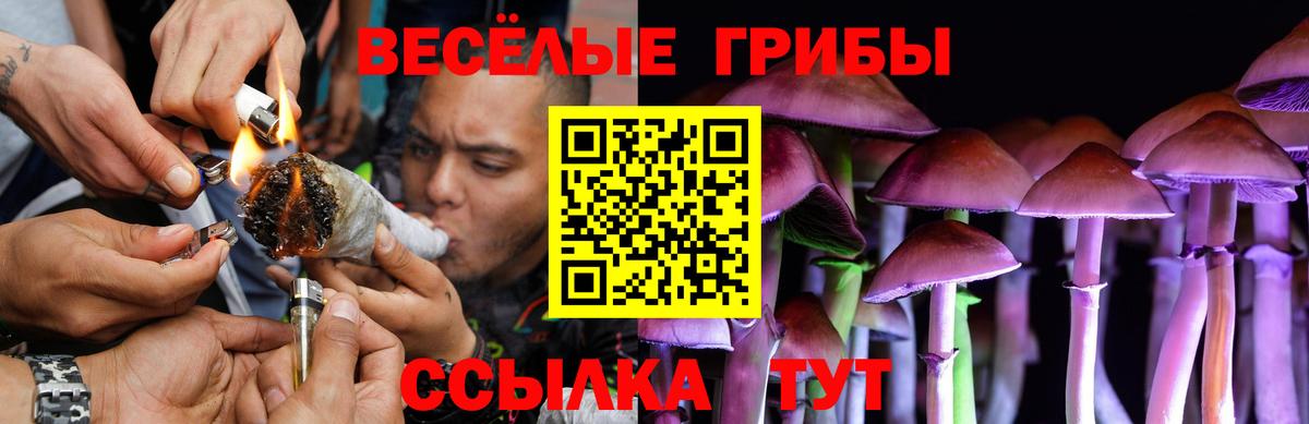 Борисоглебск  Галлюциногенные грибы Magic Shrooms  Псилоцибиновые грибы Psilocybe  Вход с VPN 