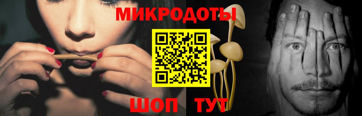Псилоцибиновые грибы мицелий Борисоглебск